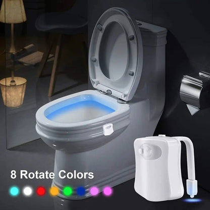 Toilet LED Night Light