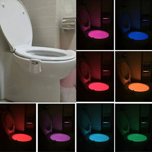 Toilet LED Night Light