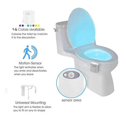 Toilet LED Night Light